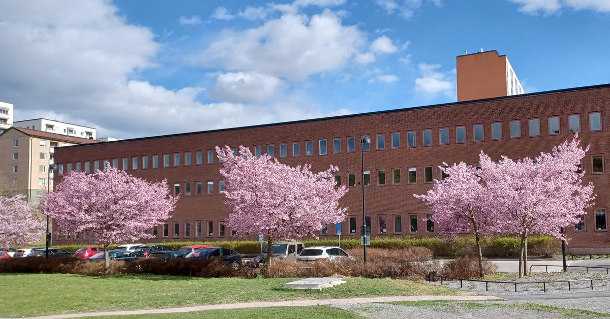 Trygghetsvandring i Hässelby Gård